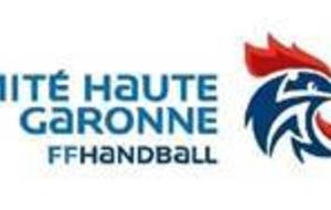 Comité Handball 31
